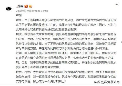 吃瓜群众声明完整视频,背后真相与争议全解析